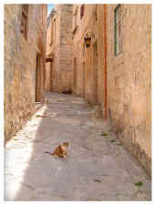 5 Mdina May 2001.jpg (92765 bytes)