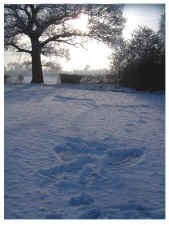 Snow swiming_web.jpg (70635 bytes)