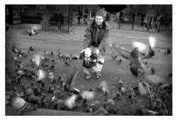 Amsterdam pidgeons.jpg (148517 bytes)