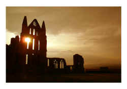 Whitby Abbey.jpg (84983 bytes)