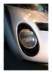muira eyelashes.jpg (106780 bytes)
